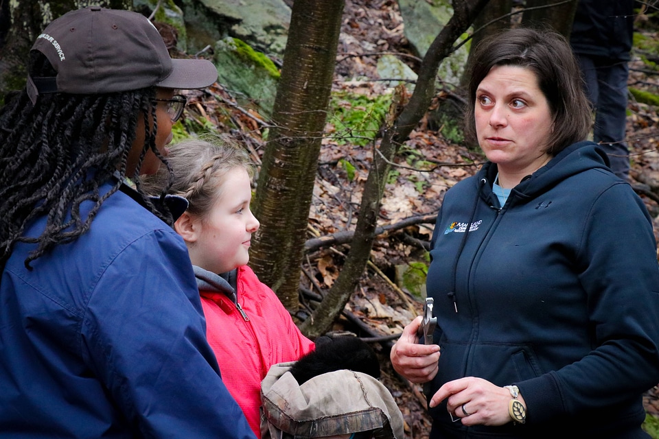 Preparing to tag black bear cub-3