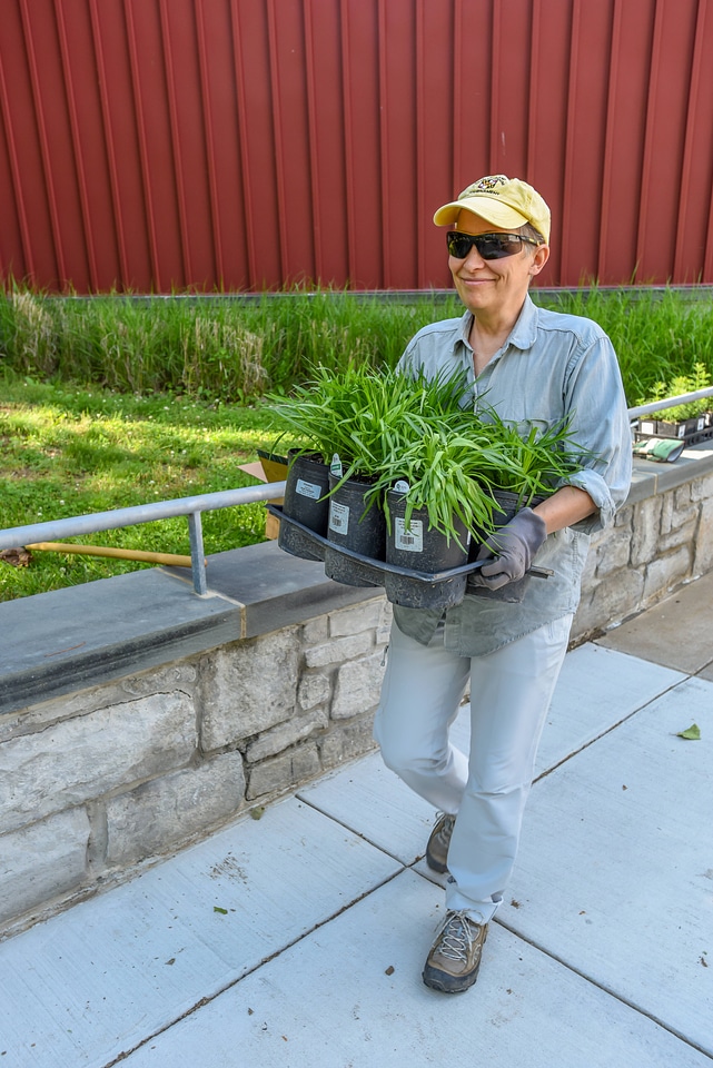 Volunteer planting a monarch garden-6