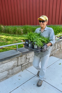 Volunteer planting a monarch garden-6