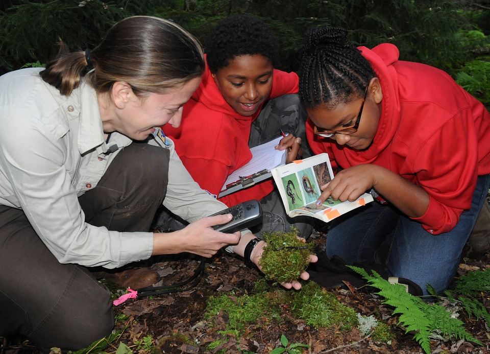 Service environmental education