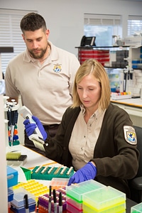 Geneticist at work in laboratory-3 photo