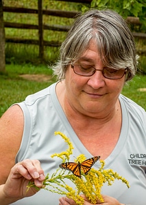 Woman holding monarch butterfly on goldenrod flower-2