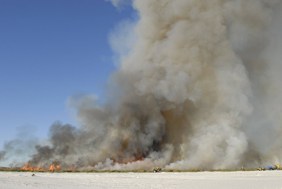 Prescribed burn-4