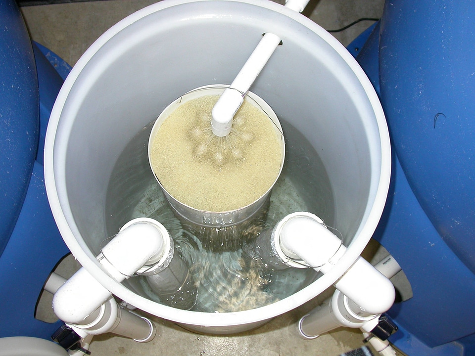 Central sump with biological filtration
