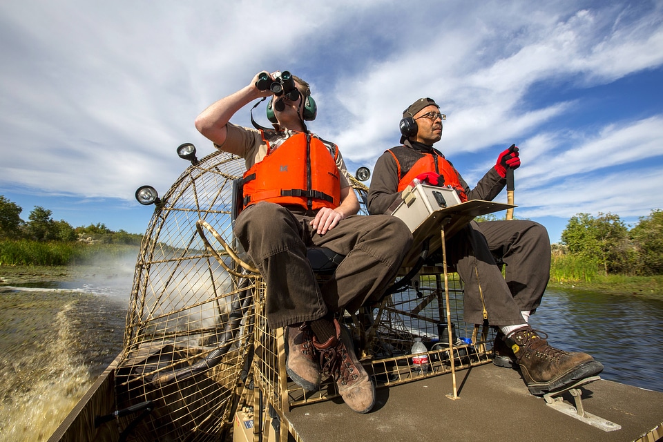 Employees maneauver an airboat at Bayou Sauvage NWR-1