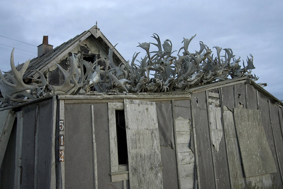 Wooden structure covered in antlers