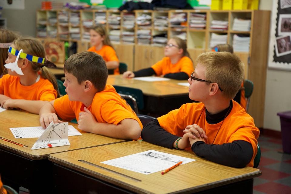 Bat education in the classroom-2