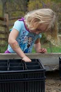 Acorn planting-3 photo