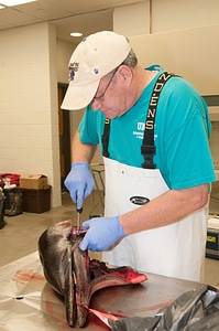 Marine Mammal Stranding Course at NCTC-6