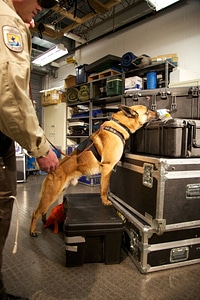 Law enforcement with K-9-2