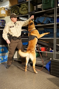 Law enforcement with K-9-2