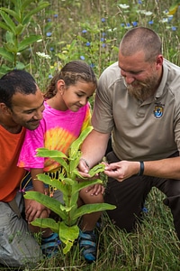 FWS employee shows a young girl (and dad) a Monarch caterpillar-1 photo