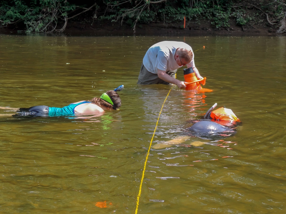 Students laying underwater transects-1