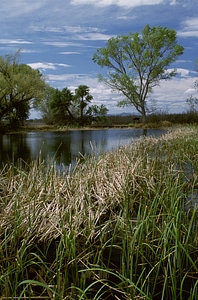 San Bernardino National Wildlife Refuge-1