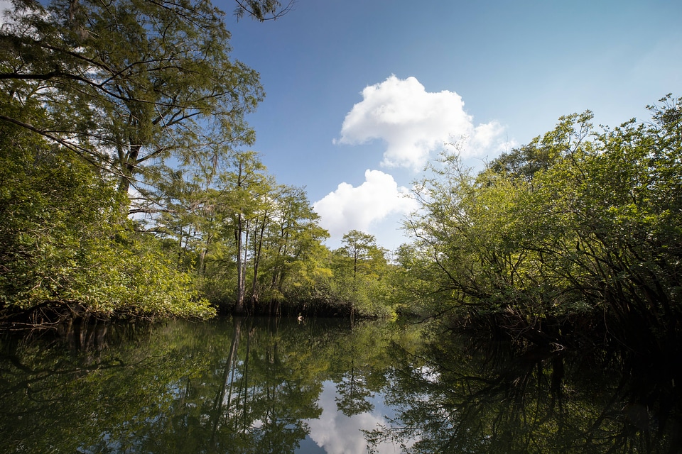 Choctawhatchee River-2
