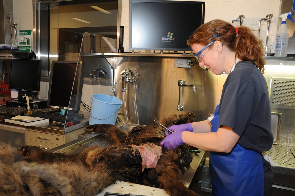 Ashland Forensics Lab-1