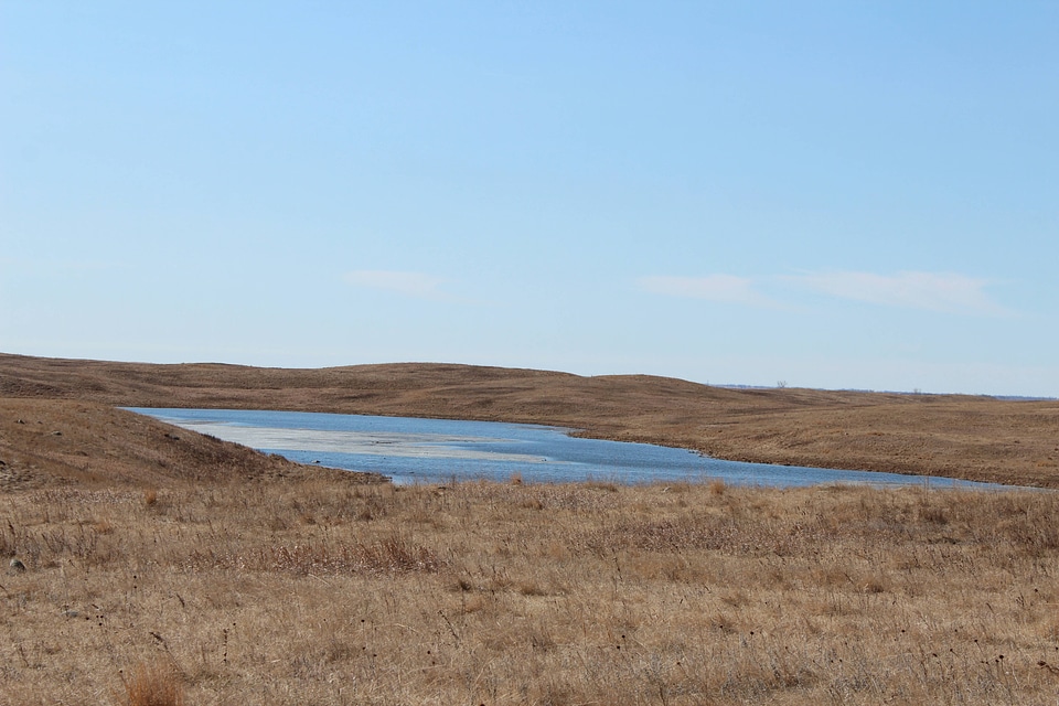 Wetland at a distance on grass easment