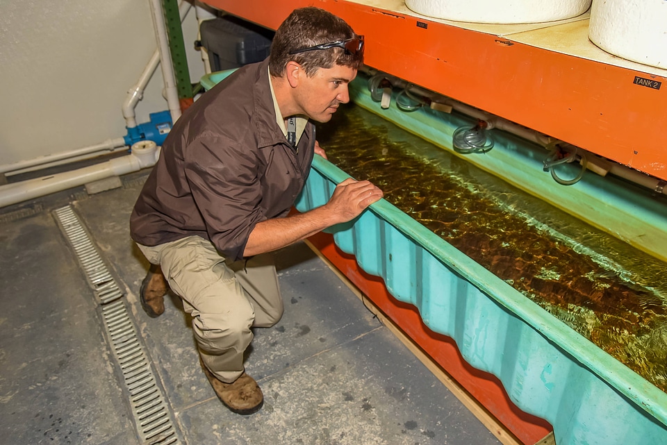FWS mussel biologist, Jonathan Wardell, examines equipment