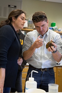 Biologists learn how to grow freshwater mussels-1 photo