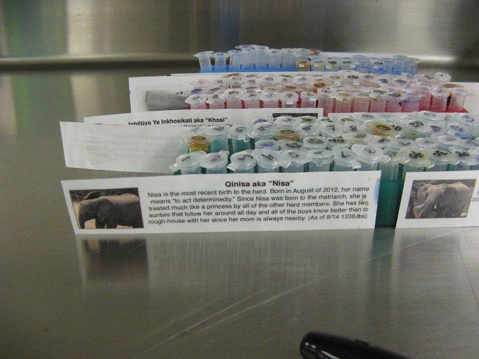 Science laboratory-2