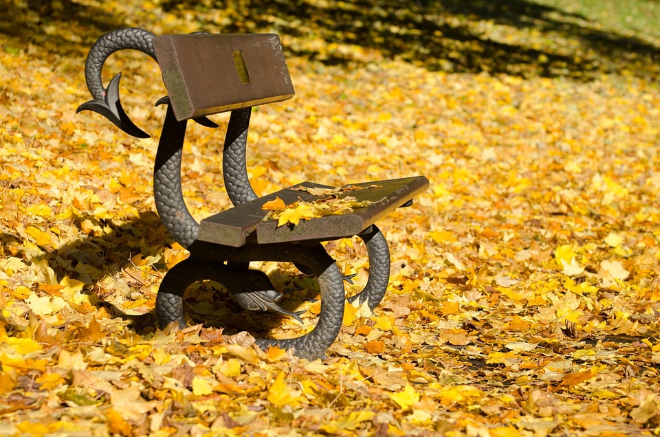 Leaf yellow seasons