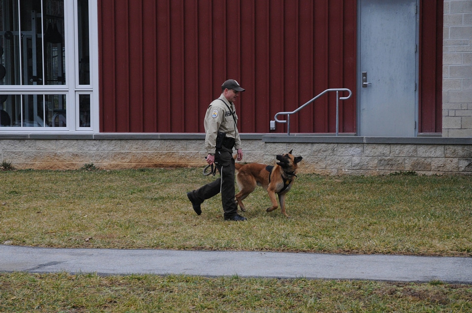 K-9 Officer walking with his partner