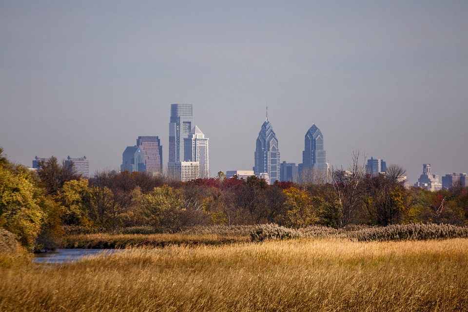 John Heinz National Wildlife Refuge with city skyline