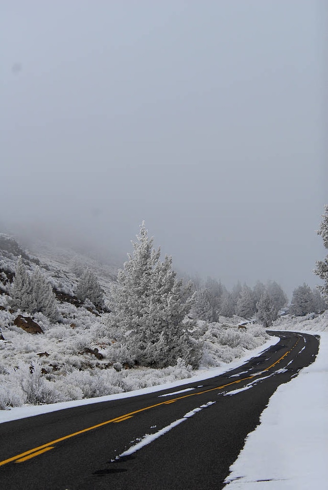 Lava Beds Road lined with hoar frost