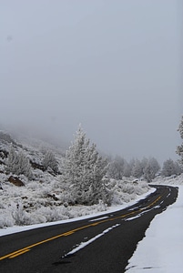 Lava Beds Road lined with hoar frost
