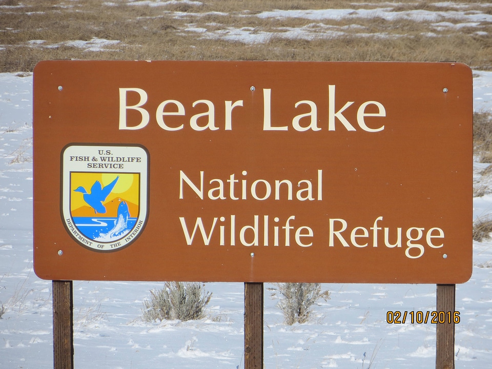 Refuge sign-6