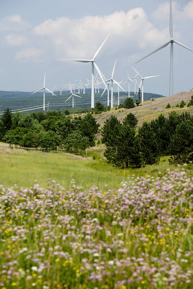 Mount Storm wind farm-1