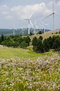 Mount Storm wind farm-1
