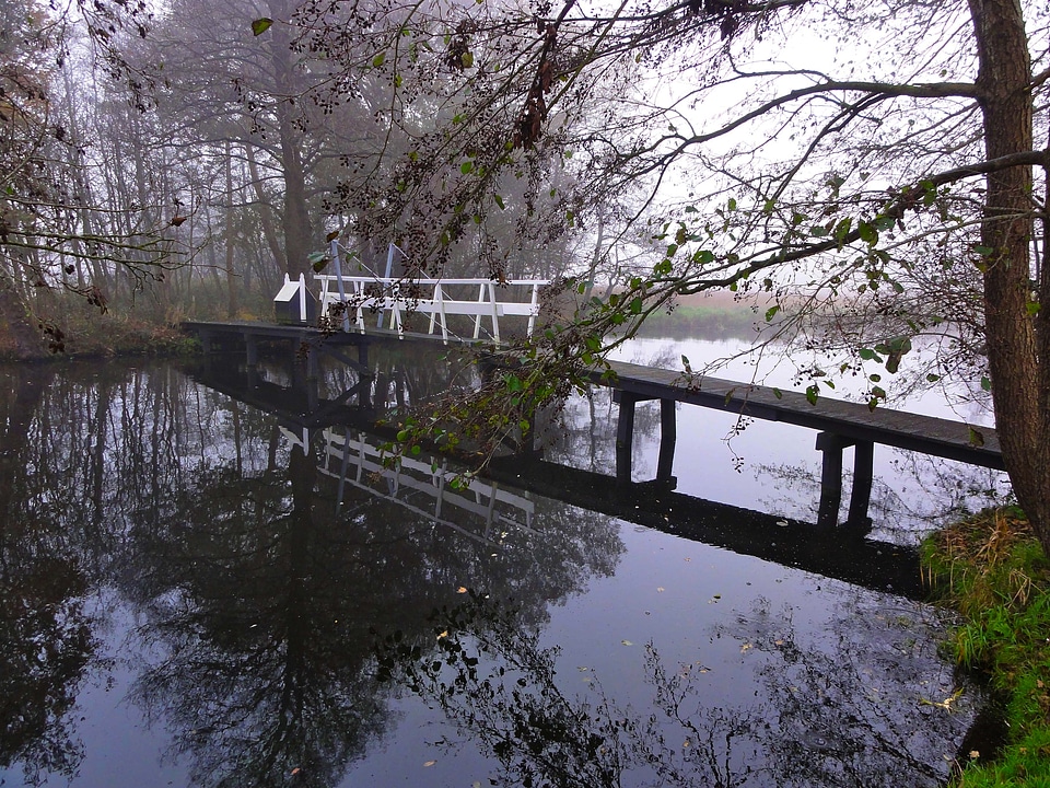 Bridge reflections nature