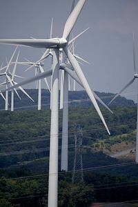 Mount Storm wind farm-17