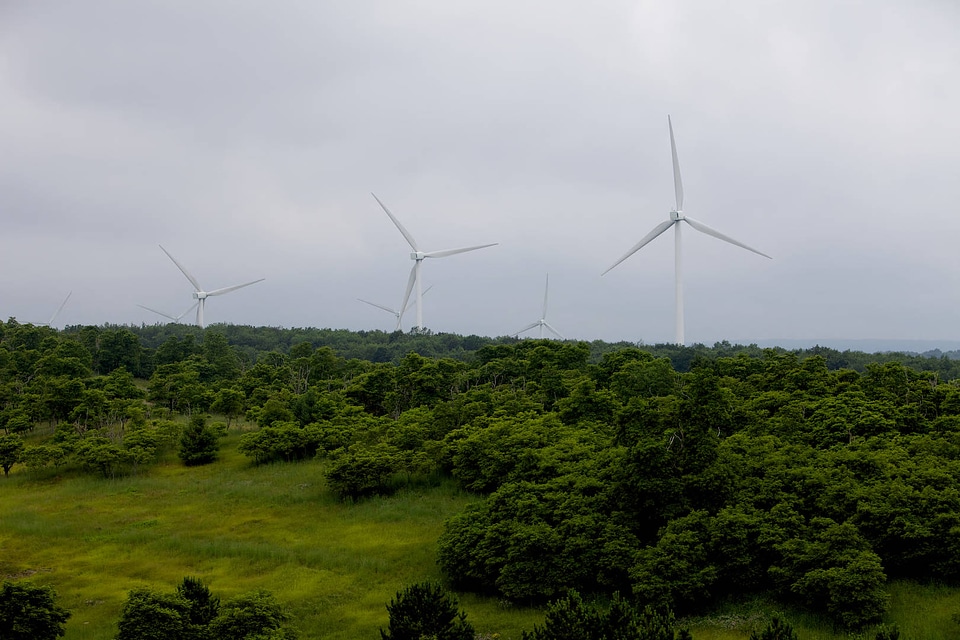 Mount Storm wind farm-48