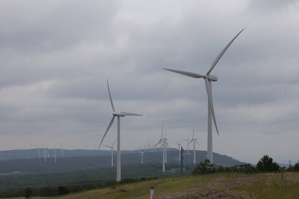 Mount Storm wind farm-49