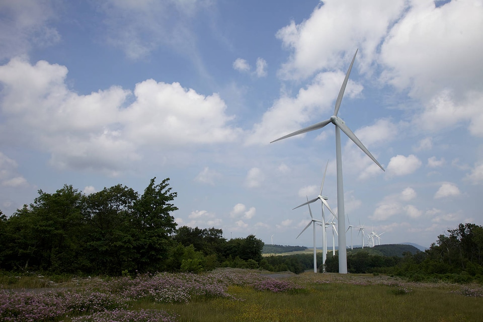 Mount Storm wind farm-62