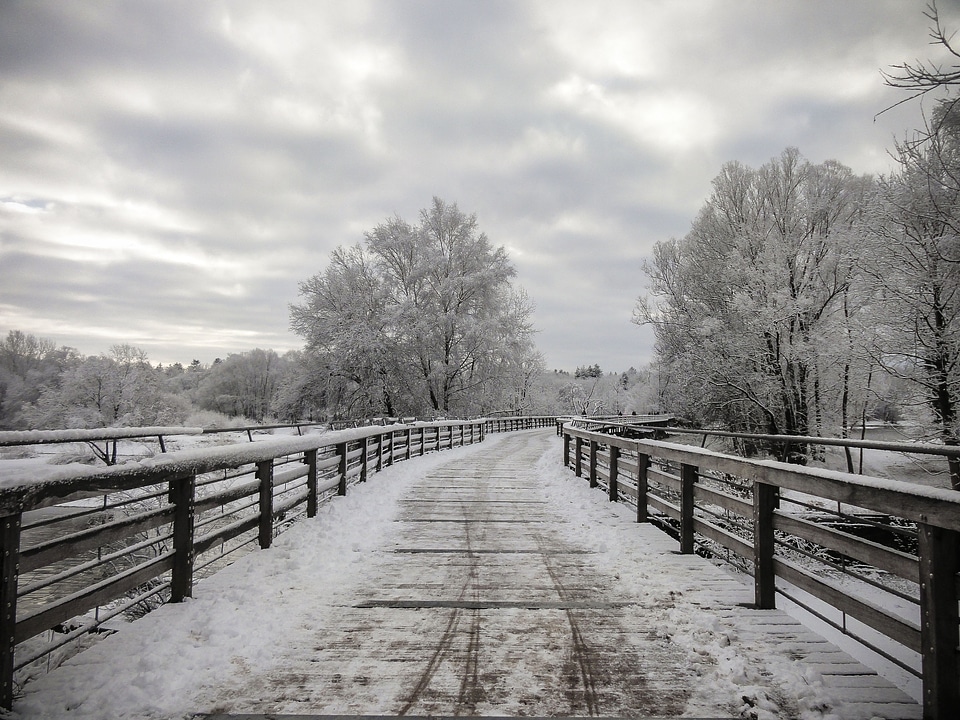 Wintry nature mood