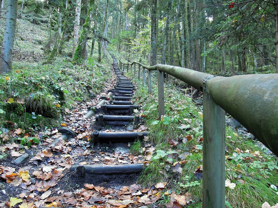 Forest away stairs