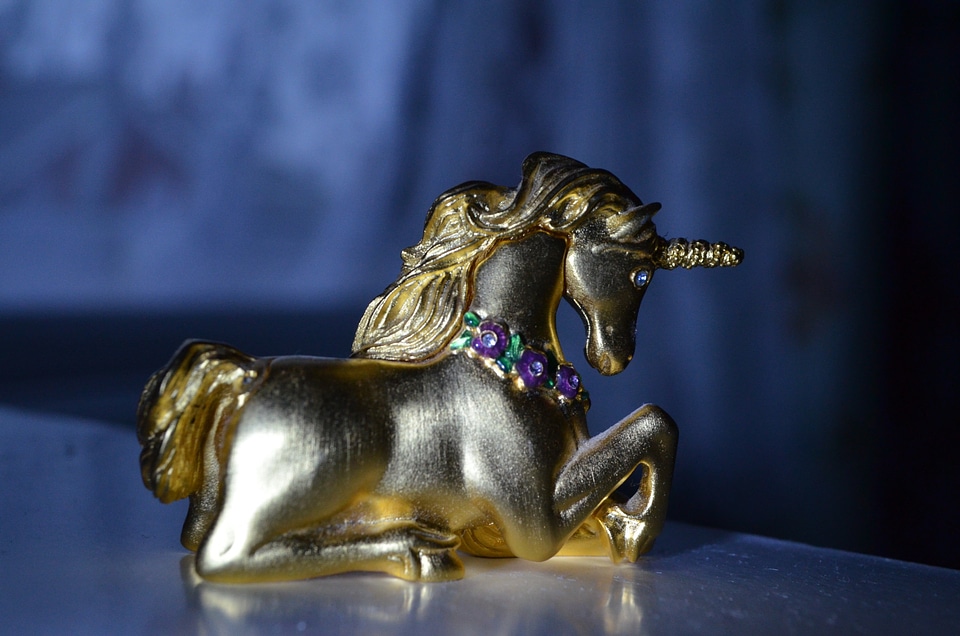 Unicorns animal horses