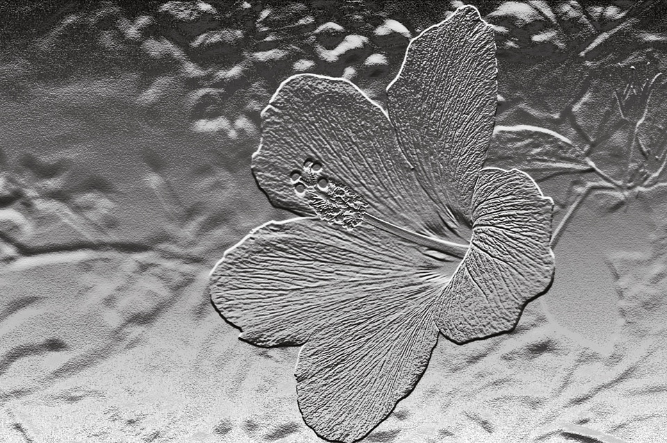 Relief flower plant