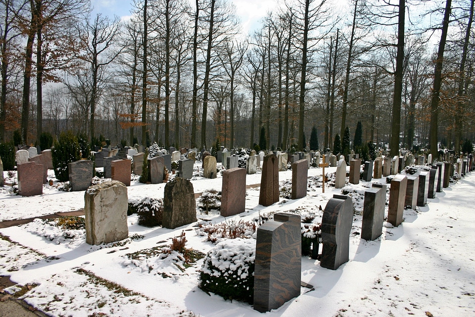 Tree graves peaceful