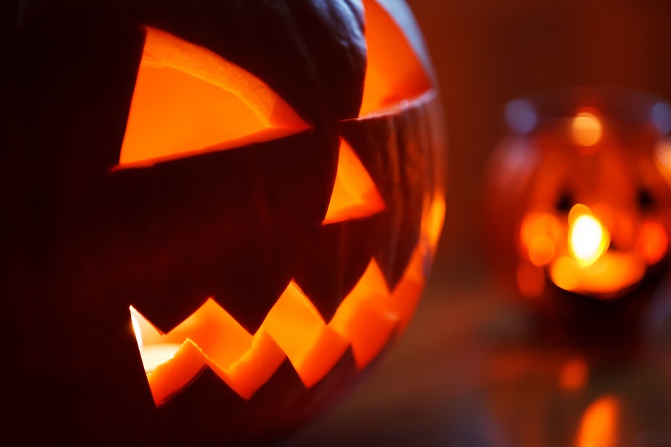 Fall scary halloween
