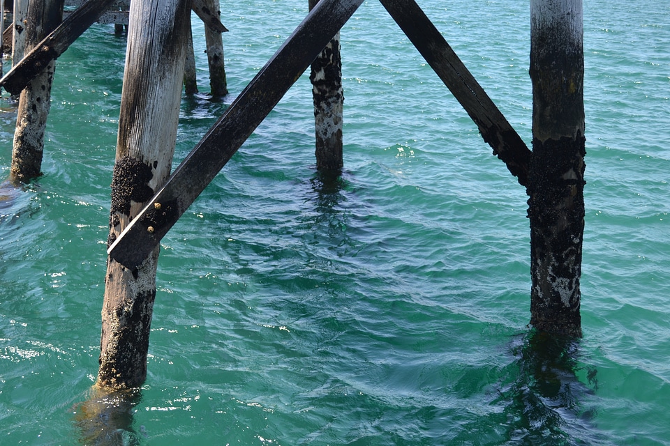 Ocean wooden coast