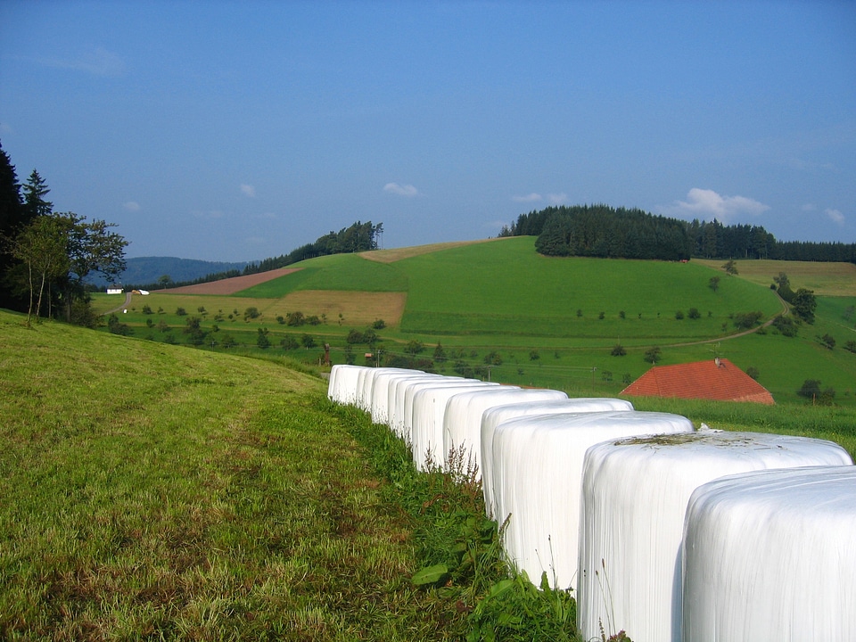 Black forest germany hill
