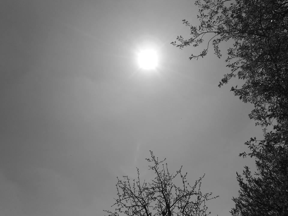 Black and white recording rays sky