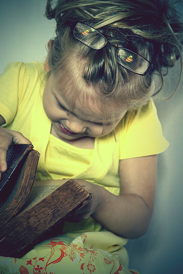 School training book