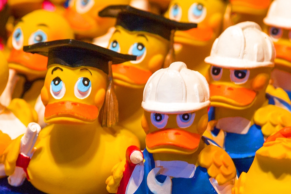 Plastic rubber duck quietscheente