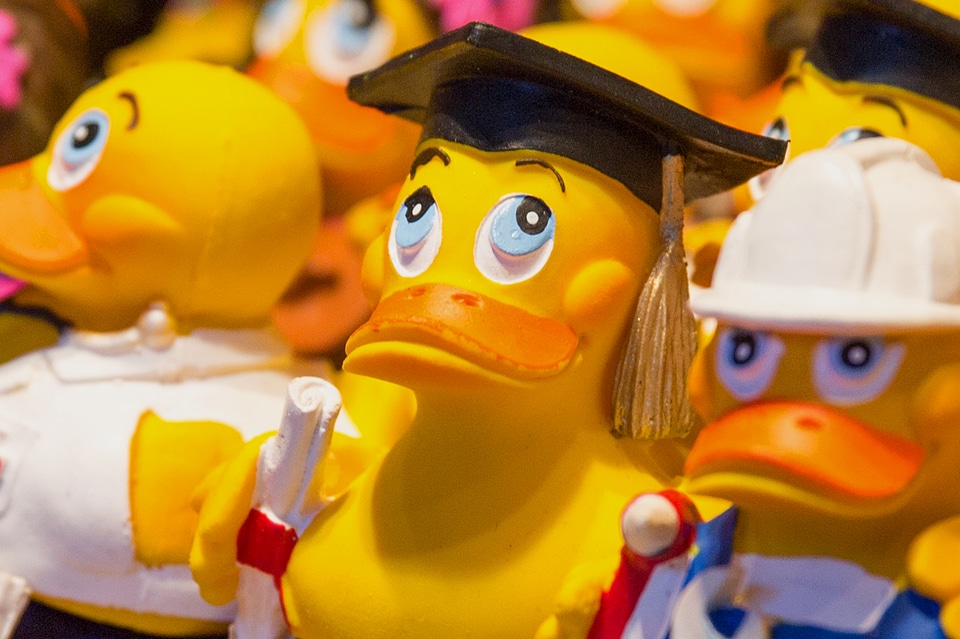 Rubber duck quietscheente toys