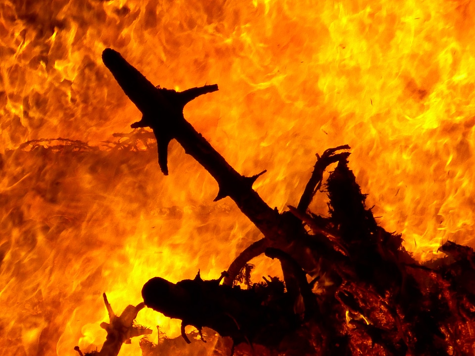 Flame brand wood fire